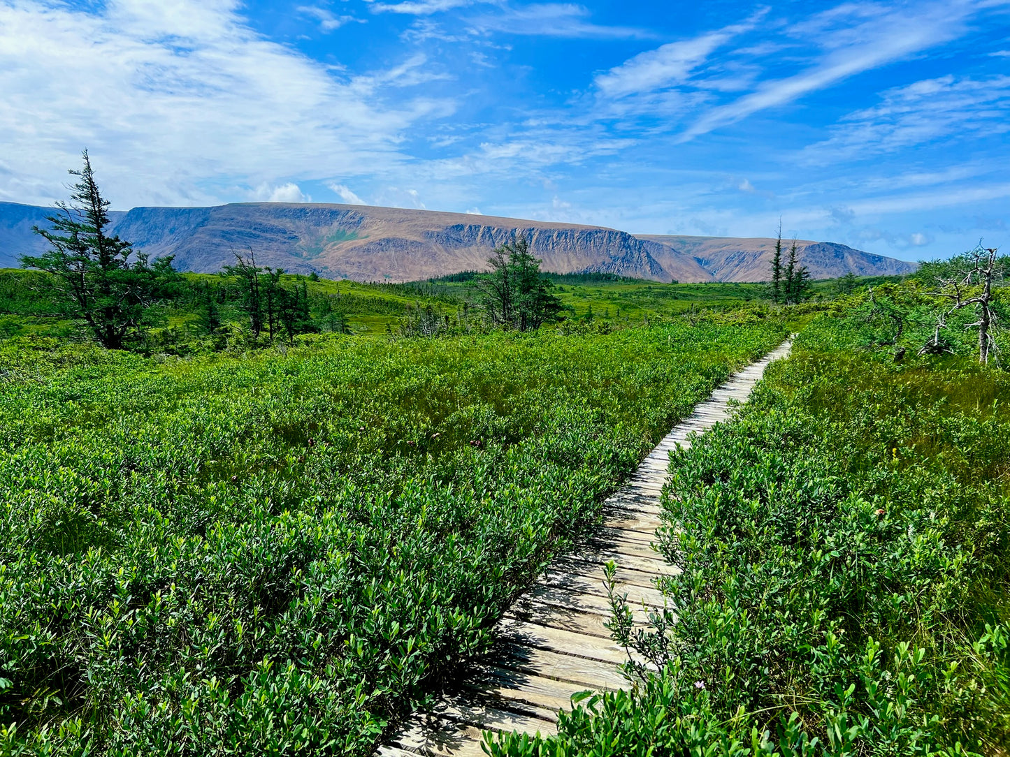 Gros Morne National Park Wall Art – Glossy Metal Photo Print | Newfoundland Canada Boardwalk Landscape Décor