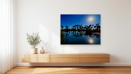 Desert Palm Oasis Wall Art – Glossy Metal Photo Print | Phoenix Arizona Lake Reflection Décor