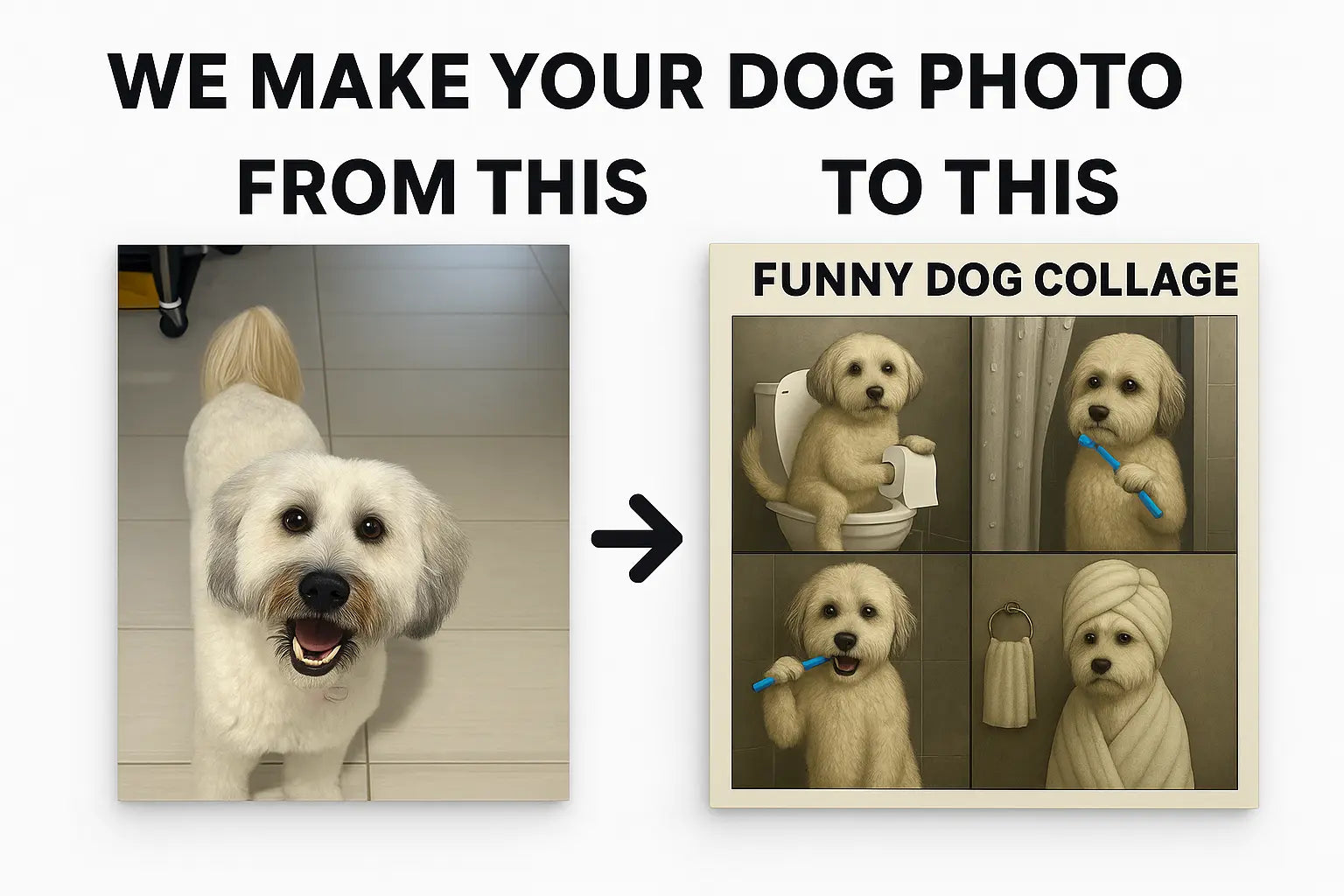 Funny Dog Wall Art
