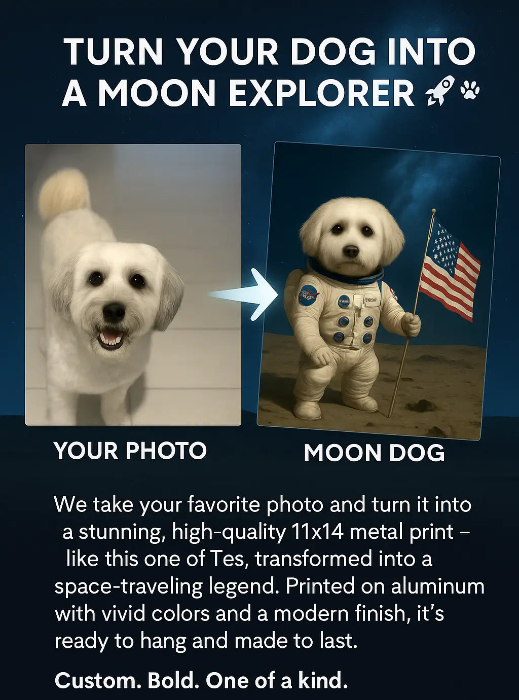 Custom Dog on the Moon Print – 14x11 Metal Pet Wall Art 🚀
