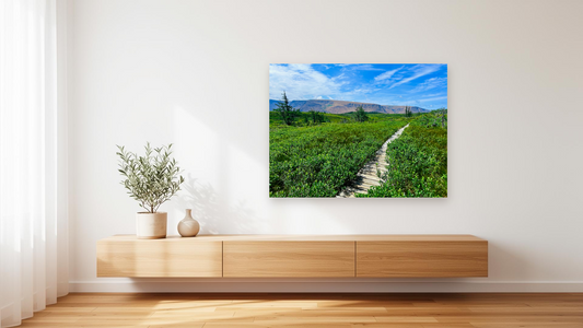 Gros Morne National Park Wall Art – Glossy Metal Photo Print | Newfoundland Canada Boardwalk Landscape Décor