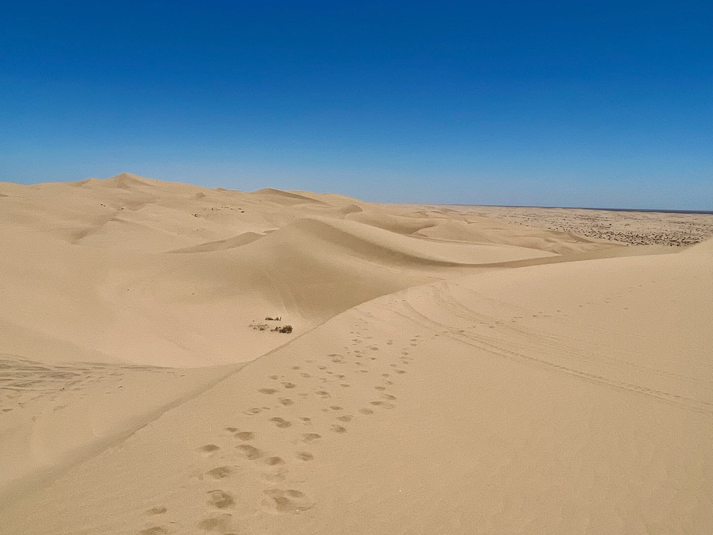Sand Dunes Desert Wall Art – Glossy Metal Photo Print | Imperial Dunes California Southwest Landscape Décor