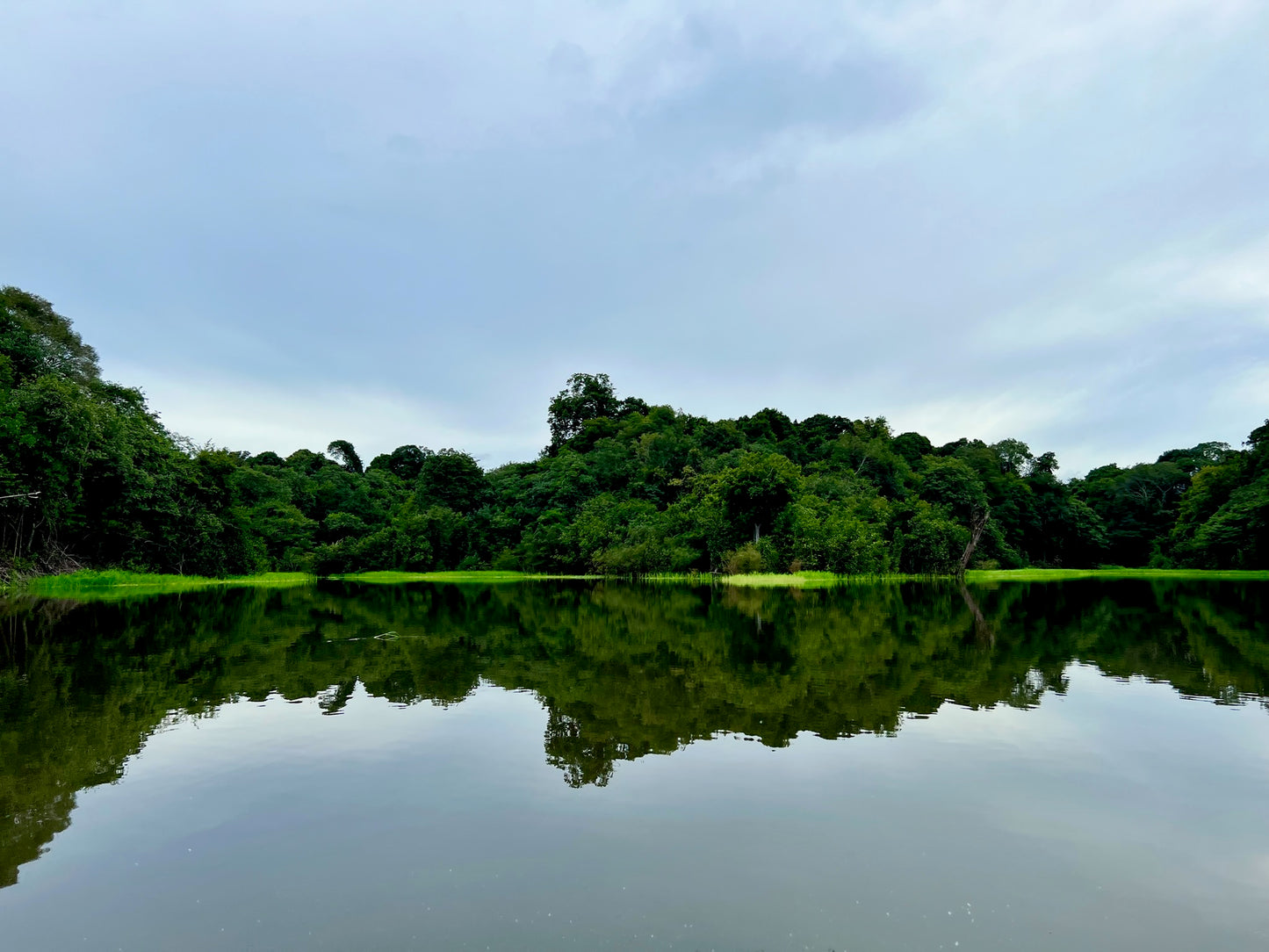 Tropical Rainforest Reflection Wall Art – Glossy Metal Photo Print | Jungle River Lake Tranquil Nature Décor